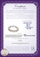 Product certificate: UK-FW-W-A-1011-B