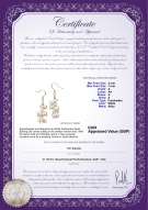 Product certificate: UK-FW-W-A-37-E-Brisa