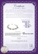 product certificate: UK-FW-W-A-410-N-Keita