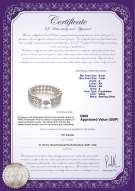 Product certificate: UK-FW-W-A-67-B-DBL