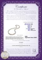 Product certificate: UK-FW-W-A-89-N-Joyce