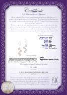 Product certificate: UK-FW-W-AA-67-E-Mickey