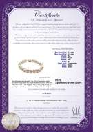 product certificate: UK-FW-W-AA-7585-B