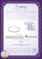 product certificate: UK-FW-W-AA-8595-N-Drop