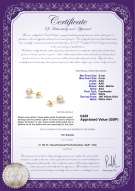 product certificate: UK-FW-W-AAA-556-E