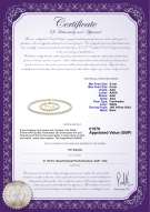 Product certificate: UK-FW-W-AAA-556-S