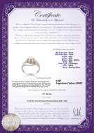 Product certificate: UK-FW-W-AAA-67-R-Clare