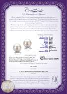 Product certificate: UK-FW-W-AAAA-1011-E-Berry