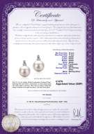 Product certificate: UK-FW-W-AAAA-1011-E-Hailey