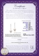Product certificate: UK-FW-W-AAAA-1011-E-Porsha
