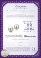 Product certificate: UK-FW-W-AAAA-1011-E-Tammy