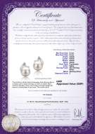 product certificate: UK-FW-W-AAAA-556-E-Tanita
