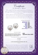 Product certificate: UK-FW-W-AAAA-67-E-Sharon