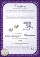 product certificate: UK-FW-W-AAAA-67-E-Zorina