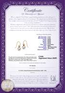 Product certificate: UK-FW-W-AAAA-78-E-Artsy