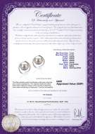 product certificate: UK-FW-W-AAAA-78-E-Raina