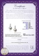 product certificate: UK-FW-W-AAAA-78-E-Valery