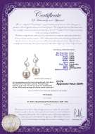 product certificate: UK-FW-W-AAAA-89-E-Priscilla