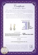 Product certificate: UK-FW-W-AAAA-89-E-Sparkle