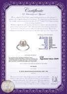 Product certificate: UK-FW-W-AAAA-89-R-Dreama