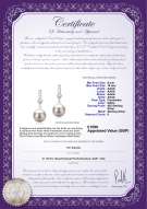 Product certificate: UK-FW-W-AAAA-910-E-Erma