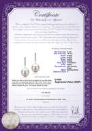 Product certificate: UK-FW-W-AAAA-910-E-Janet