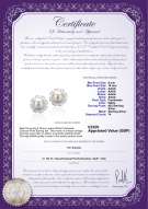 product certificate: UK-FW-W-AAAA-910-E-Leonie