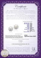 Product certificate: UK-FW-W-AAAA-910-E-Leonie