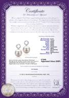 product certificate: UK-FW-W-AAAA-910-E-Shellry