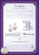 Product certificate: UK-FW-W-AAAA-910-E-Shellry