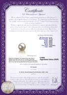 Product certificate: UK-FW-W-AAAA-910-L1