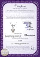 product certificate: UK-FW-W-AAAA-910-P-Adelina