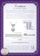 Product certificate: UK-FW-W-AAAA-910-P-Adelina