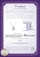 Product certificate: UK-FW-W-AAAA-910-P-Eternity
