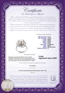 Product certificate: UK-FW-W-AAAA-910-R-Bobbie