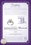 product certificate: UK-FW-W-AAAA-910-R-Royisal