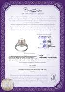 Product certificate: UK-FW-W-AAAA-910-R-Royisal