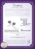 product certificate: UK-JAK-B-AA-67-E-Rosie