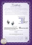 product certificate: UK-JAK-B-AA-67-E-Sydney