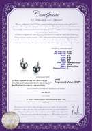 Product certificate: UK-JAK-B-AA-67-E-Sydney