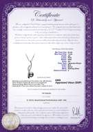 Product certificate: UK-JAK-B-AA-67-P-Diana