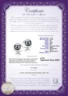 product certificate: UK-JAK-B-AA-78-E-Gilda