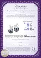 product certificate: UK-JAK-B-AA-78-E-Marsha