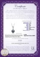 product certificate: UK-JAK-B-AA-78-P-Daria