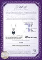 product certificate: UK-JAK-B-AA-78-P-Randy