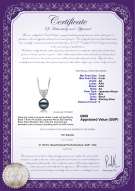 Product certificate: UK-JAK-B-AA-78-P-Randy