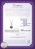 product certificate: UK-JAK-B-AA-78-P-Zalina