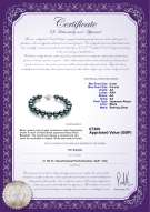 product certificate: UK-JAK-B-AA-89-B