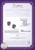 product certificate: UK-JAK-B-AA-89-E-Francine