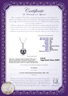 product certificate: UK-JAK-B-AA-89-P-Ellice